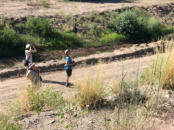 Birders in Algodones, August 2021