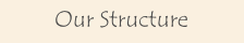 Our Structure