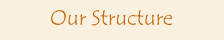 Our Structure