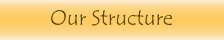 Our Structure